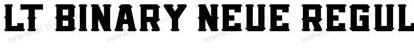 LT Binary Neue Regul字体转换
